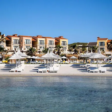 Cocos The Club Solto 알라카티