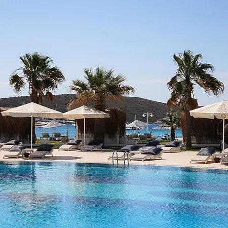 Cocos The Club Solto 알라카티