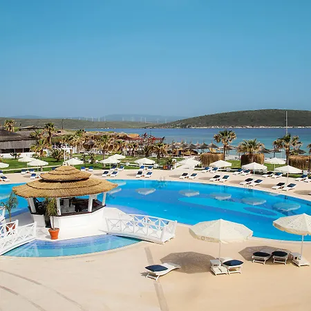 Cocos The Club Solto