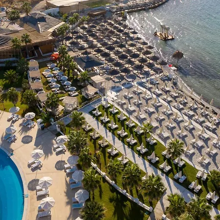 Cocos The Club Solto Alacati