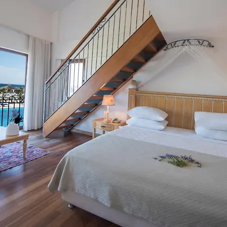 Cocos The Club Solto Otel 4*