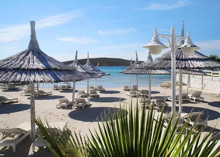 Cocos The Club Solto 酒店 4*