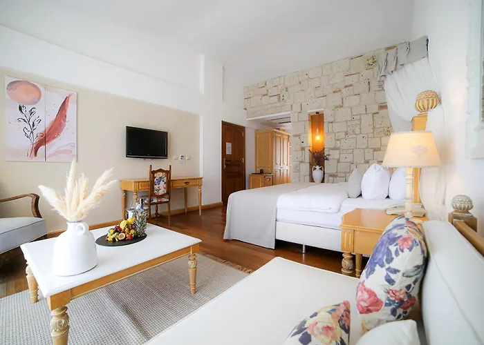 Cocos The Club Solto