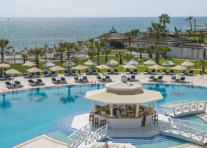 Cocos The Club Solto 阿拉恰特