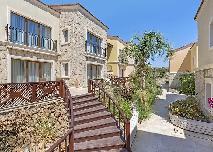 酒店 Cocos The Club Solto 4*